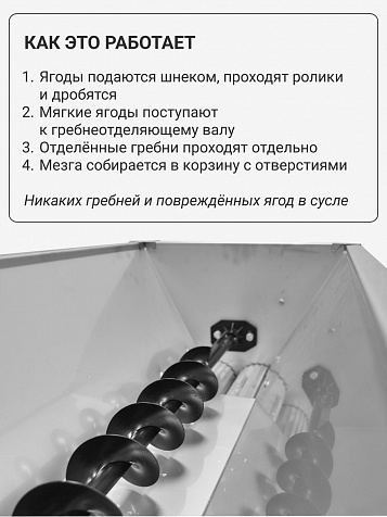 Электрический измельчитель-гребнеотделитель Rondinella бункер из нерж. стали